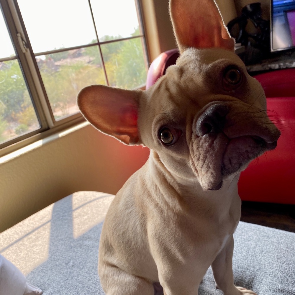 Meet your Posher, Danny